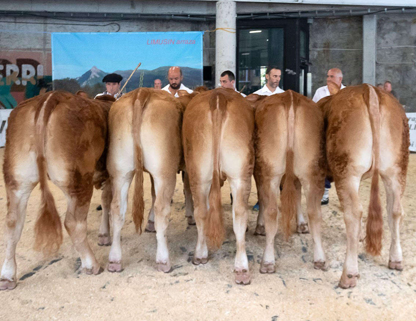 2023KO SAN BARTOLOMEAK. BASERRITARREN EGUNAELGOIBARKO UDALA. ELGOIBAR. 20230825