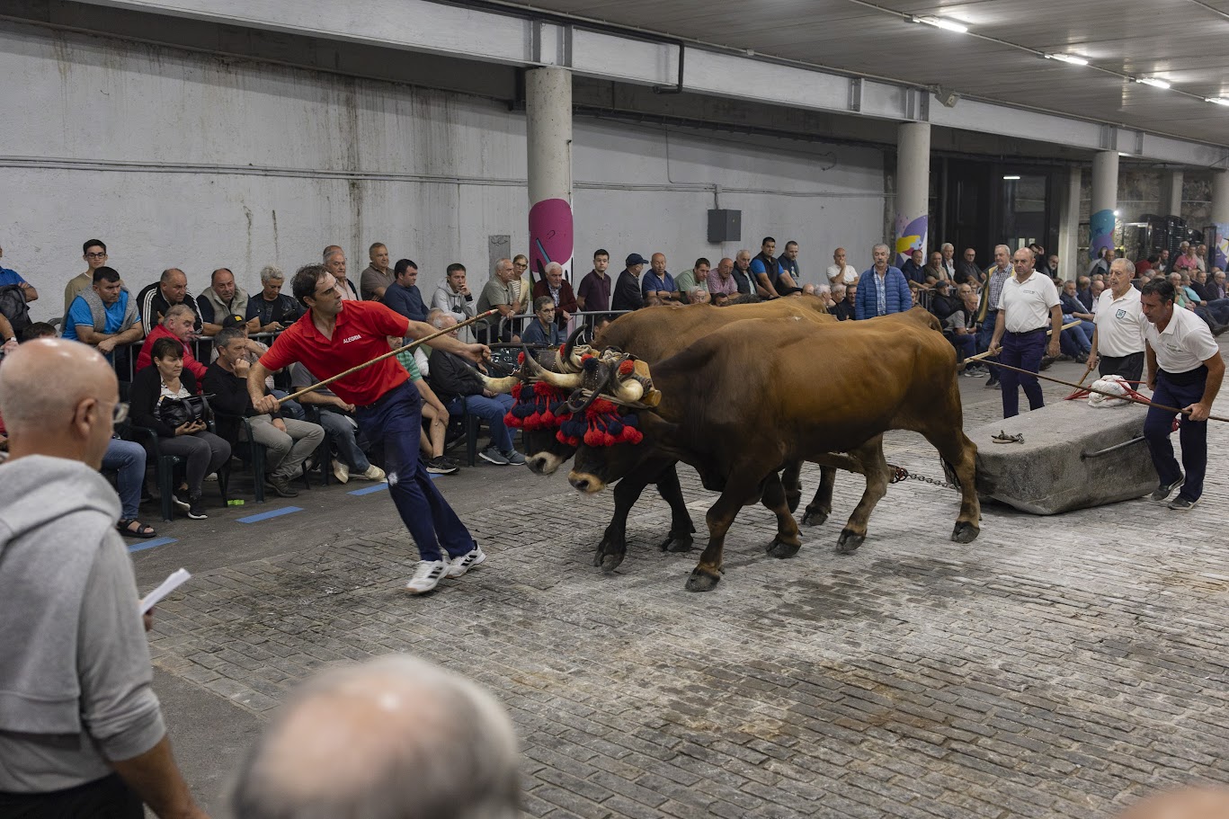 Idi kintopekoen San Bartolome saria